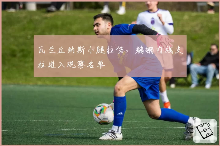 瓦兰丘纳斯小腿拉伤，鹈鹕内线支柱进入观察名单