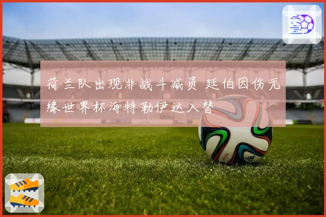 荷兰队出现非战斗减员 廷伯因伤无缘世界杯海特勒伊达入替
